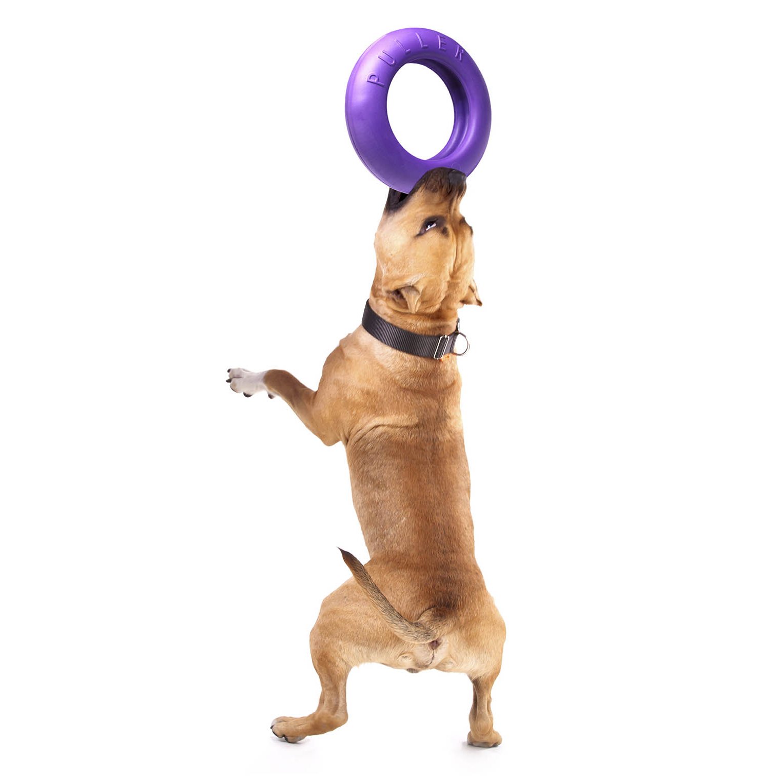 Výcviková pomôcka PULLER MAXI (obrázok 5)