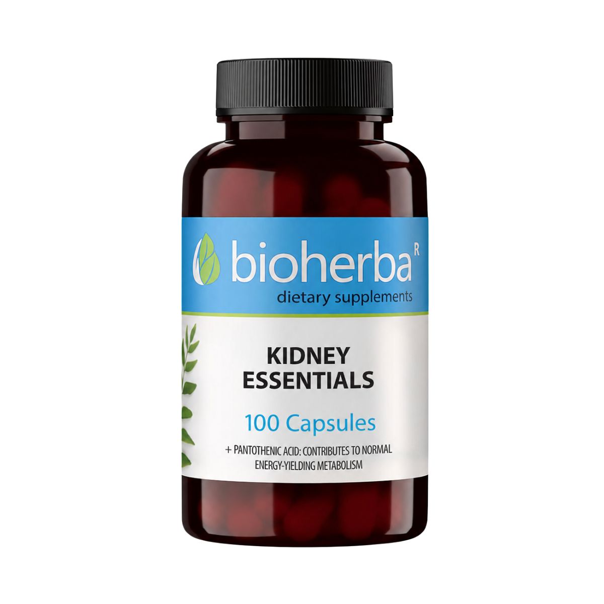 Bioherba Kidney Essentials – 100 kapsúl – Bioherba