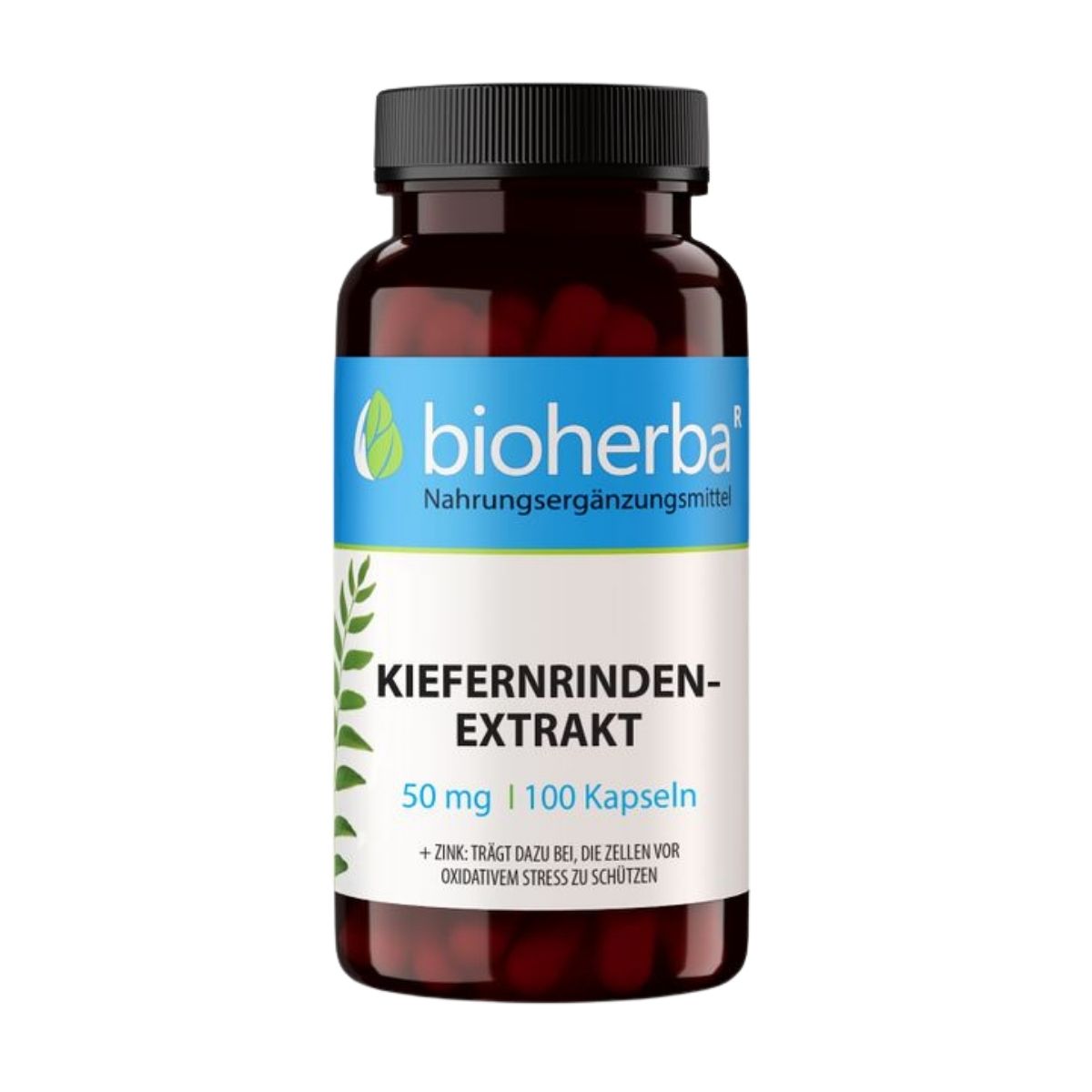 Bioherba Extrakt z borovicovej kôry 50 mg - 100 kapsúl - Bioherba