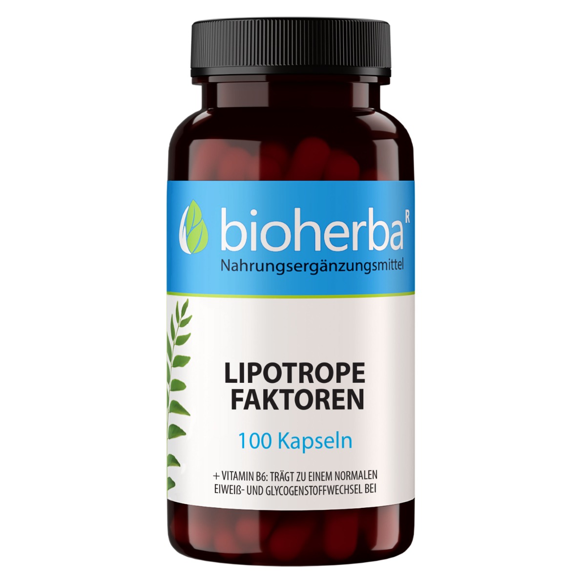 Bioherba Lipotropné faktory – 100 kapsúl – Bioherba