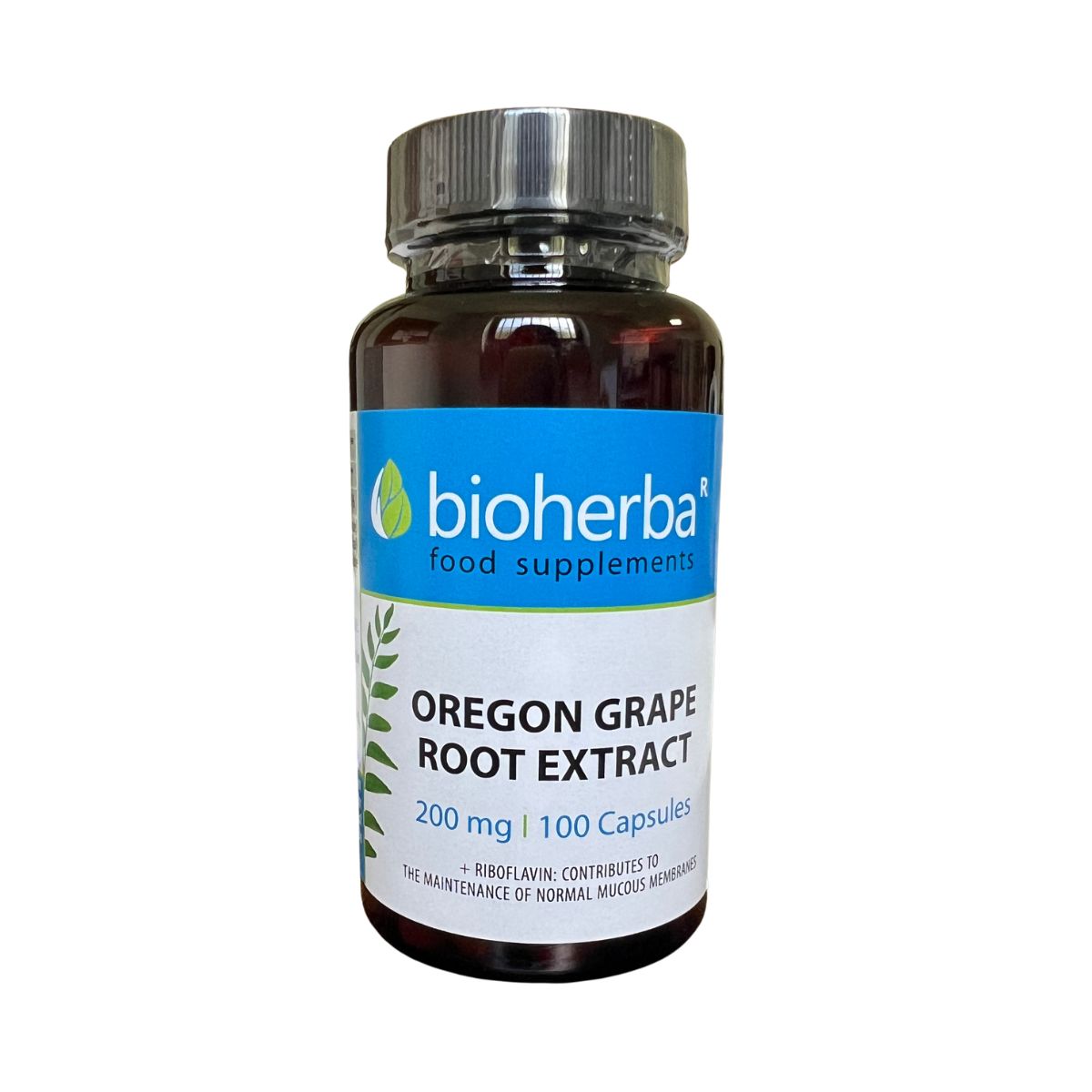 Bioherba Mahónia cezmínolistá - 100 kapsúl - Bioherba