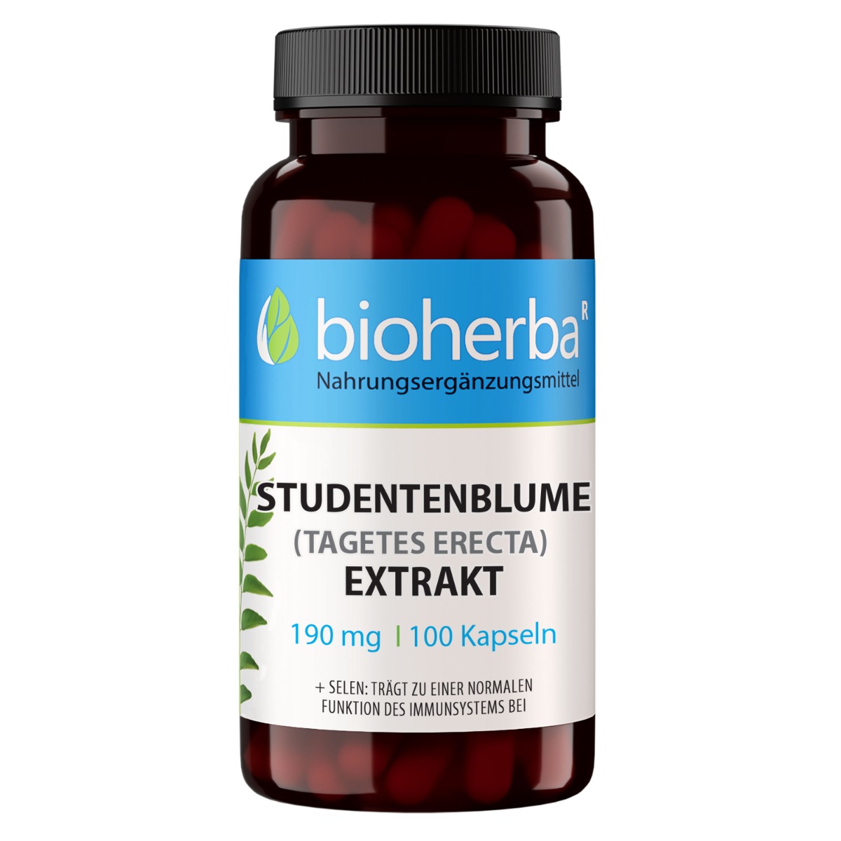 Bioherba Aksamietnica extrakt 190 mg – 100 kapsúl – Bioherba