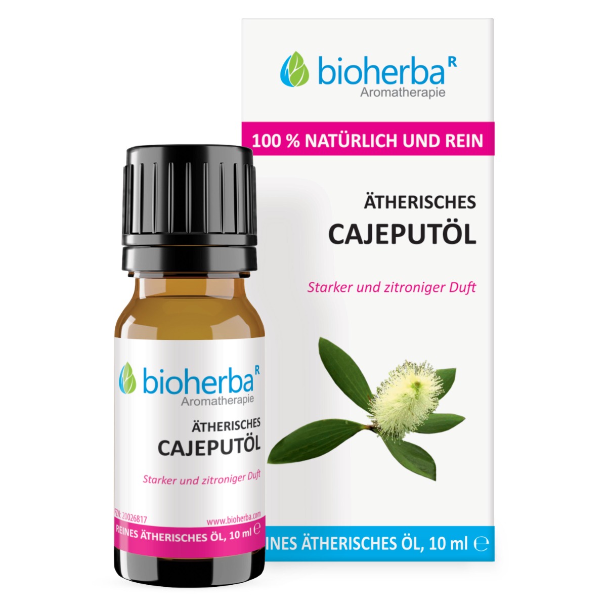 Bioherba Esenciálny olej kajeput (Melaleuka) – 10 ml – Bioherba