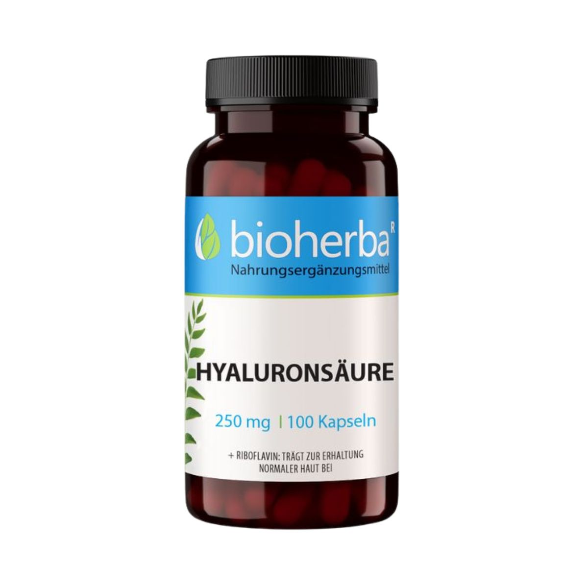Bioherba Kyselina hyalurónová 250 mg – 100 kapsúl – Bioherba