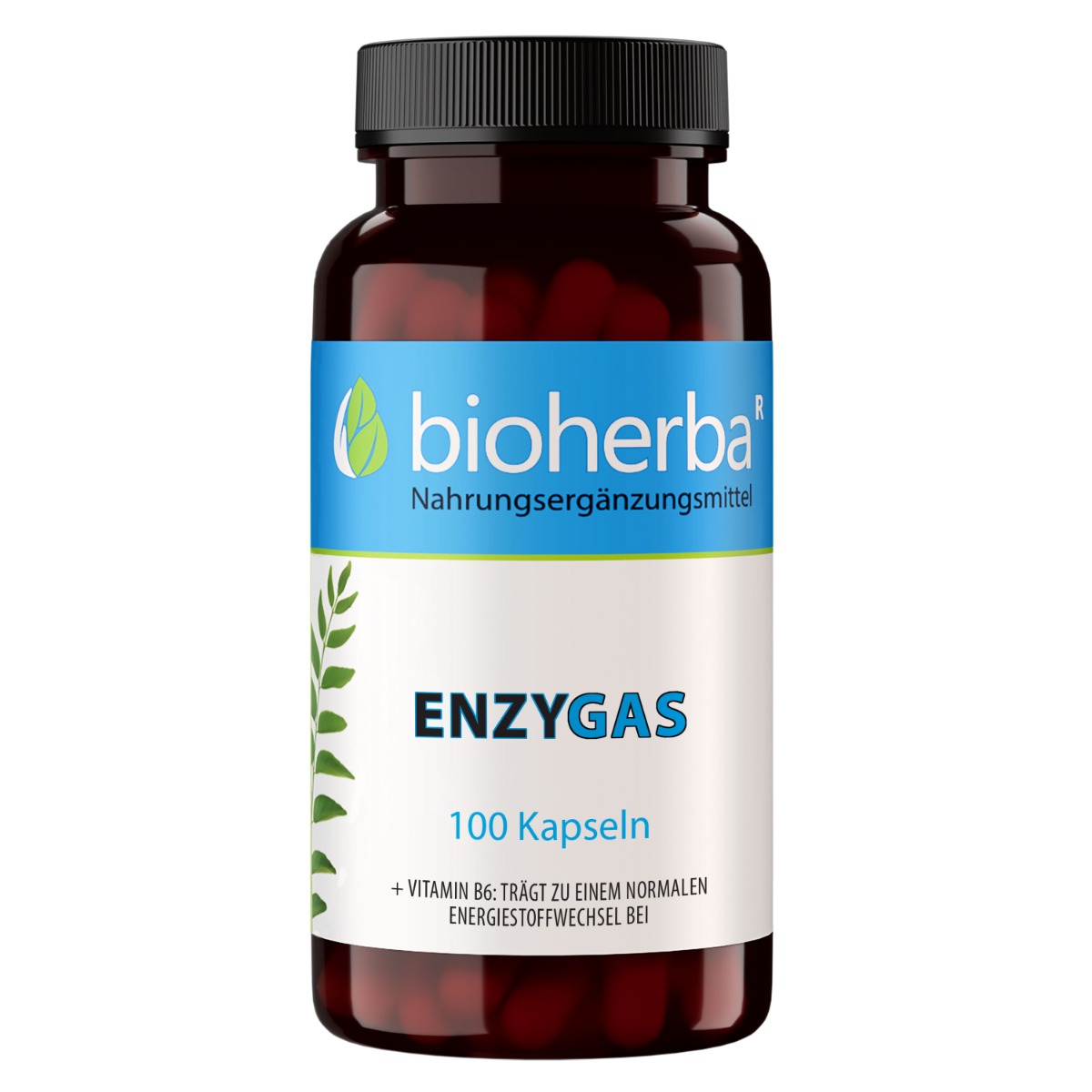 Bioherba Anti-Gas – enzýmy proti nadúvaniu – 100 kapsúl – Bioherba