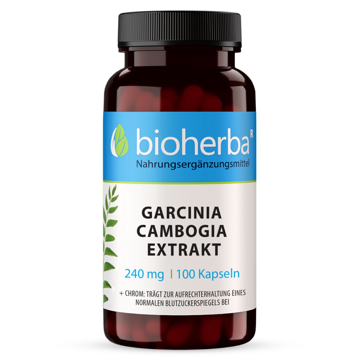 Garcinia Cambogia extrakt 240 mg – 100 kapsúl – Bioherba
