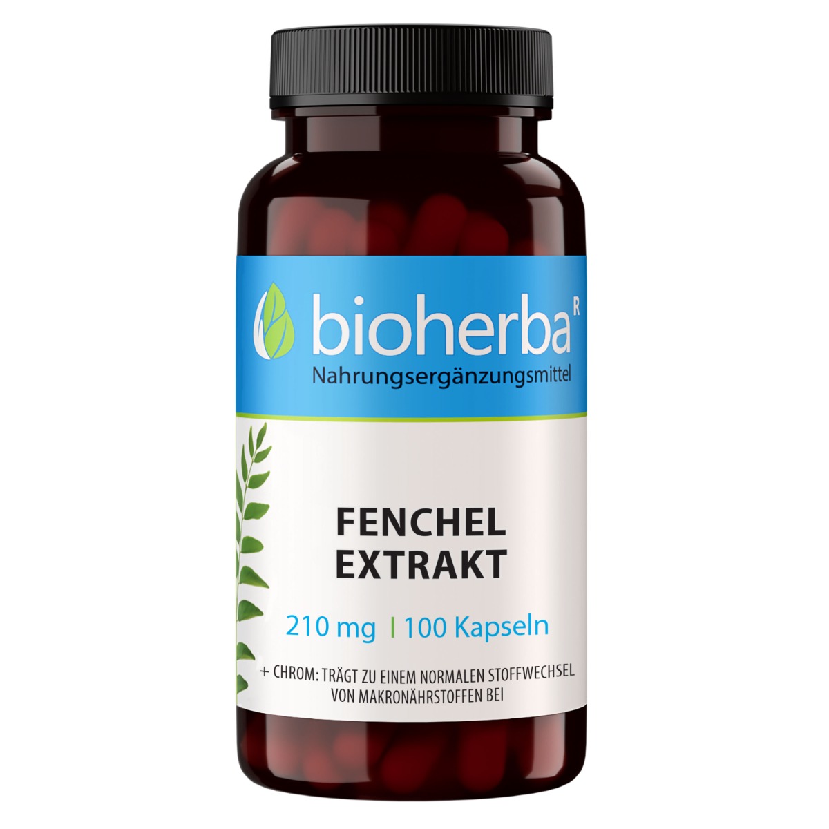 Bioherba Extrakt z fenikla 210 mg – 100 kapsúl – Bioherba