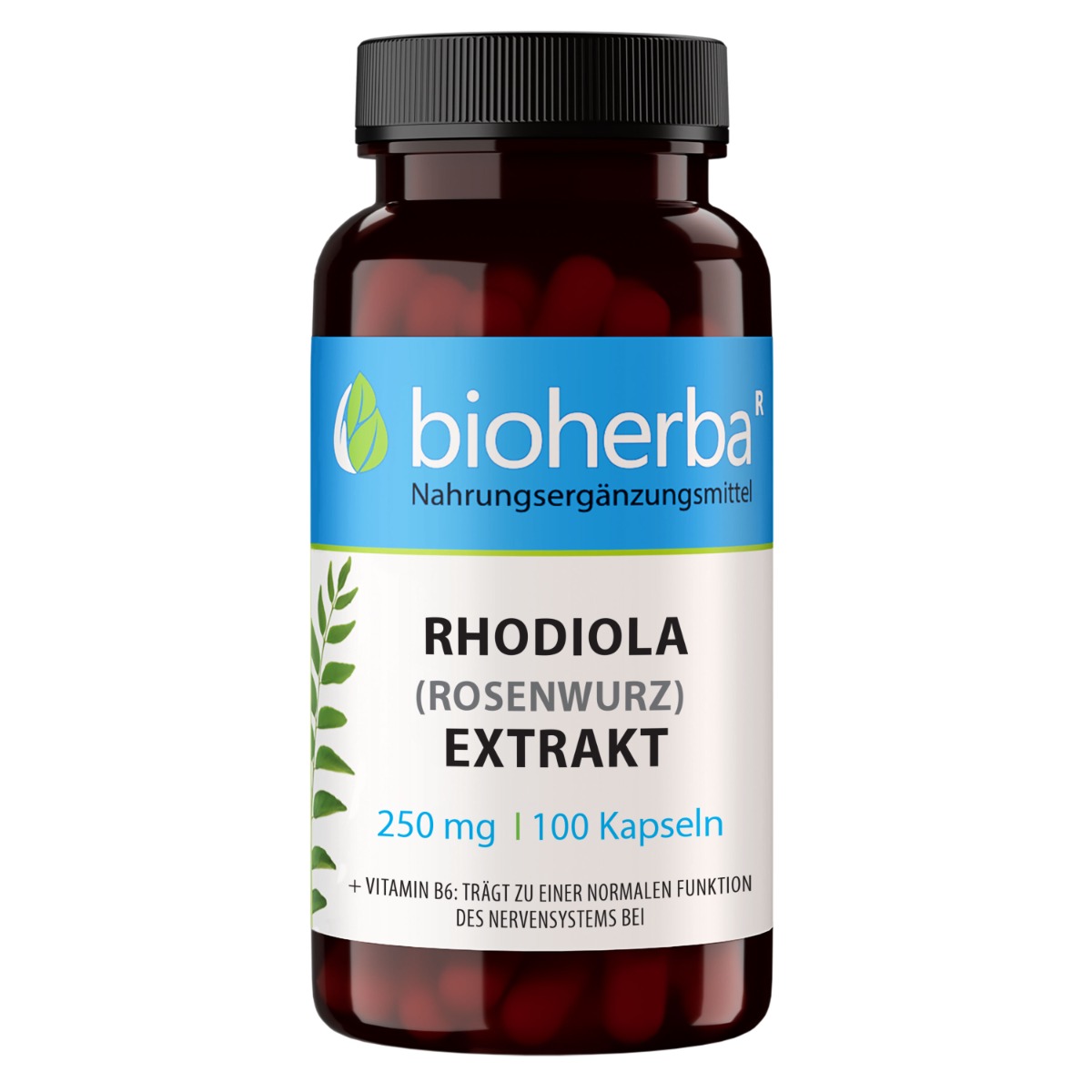 Bioherba Rhodiola extrakt 250 mg – 100 kapsúl – Bioherba