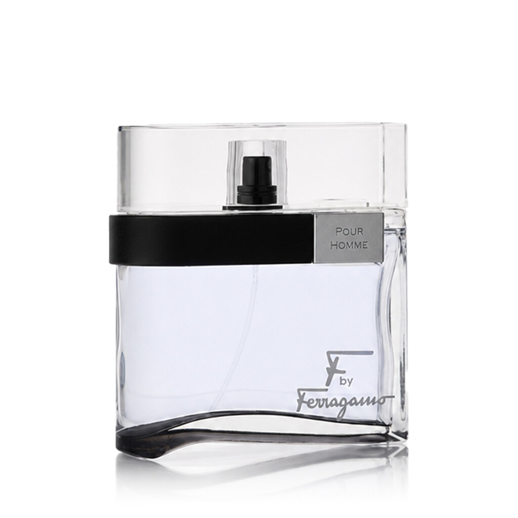Salvatore Ferragamo Salvatore Ferragamo F by Ferragamo Black EDT 100 ml M