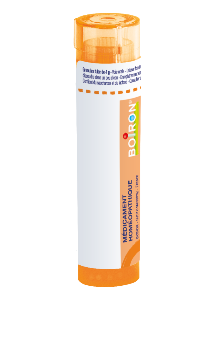 Arnica Montana Ch15 granulky – 4 g