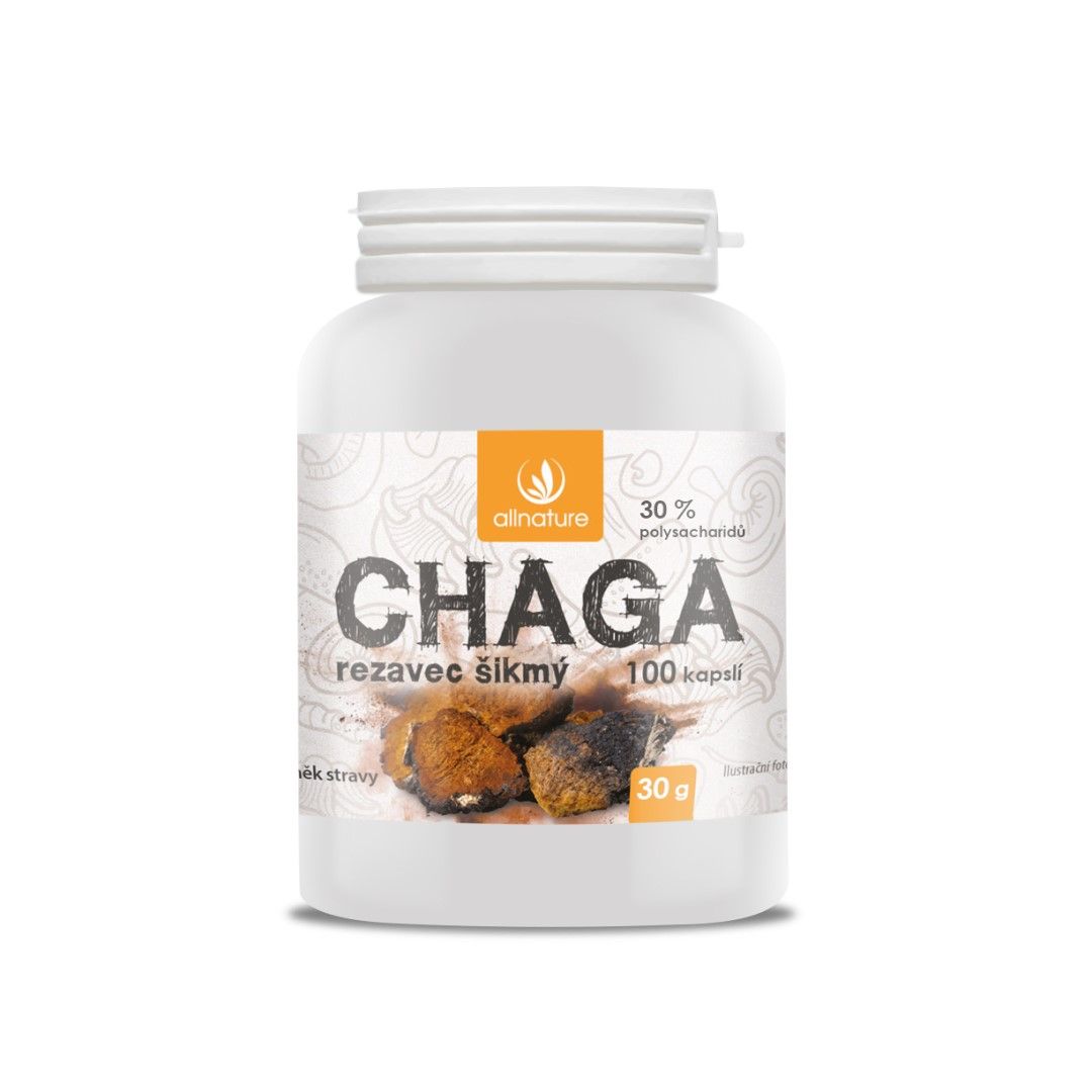 Allnature Allnature Chaga