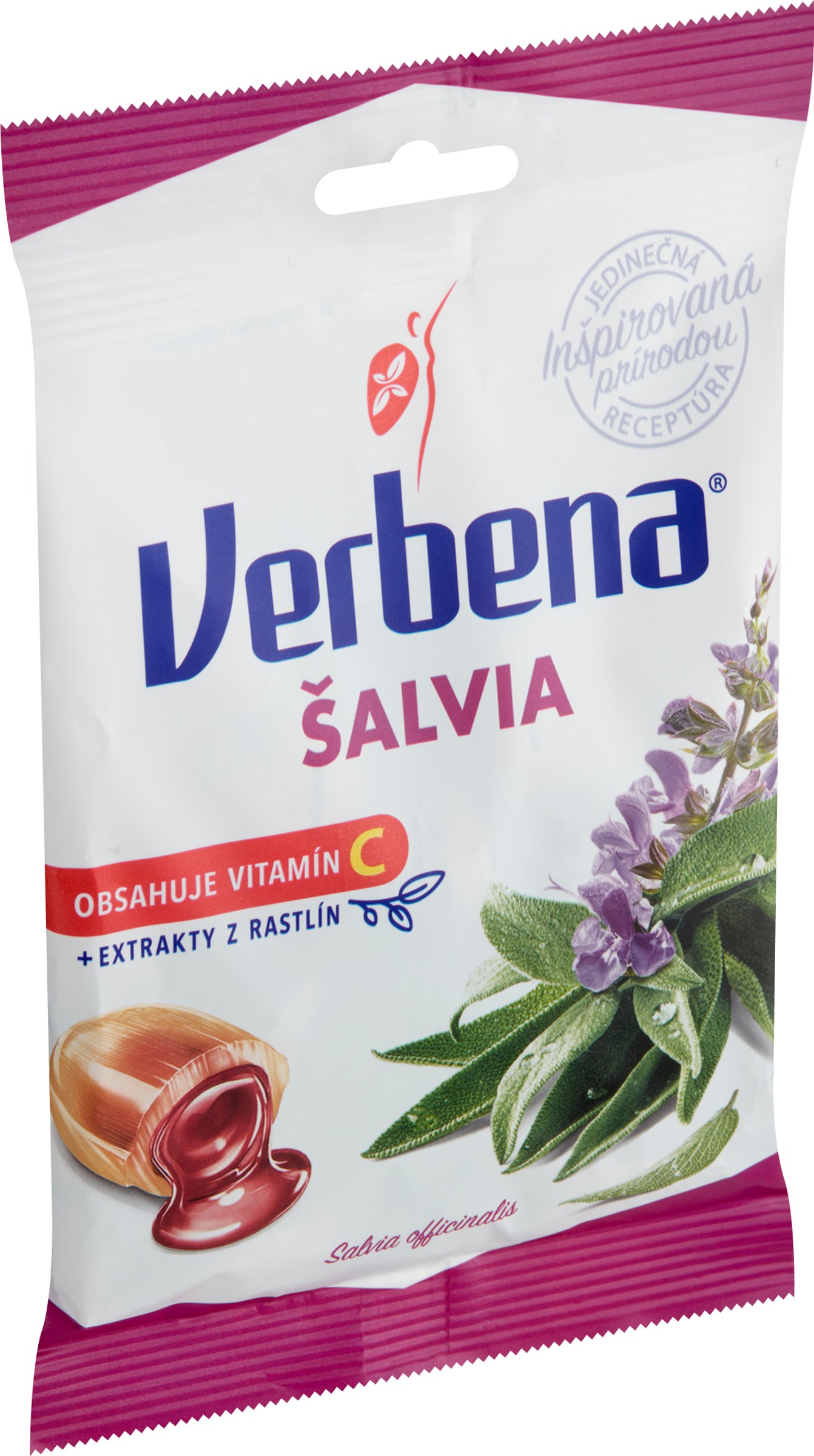 Verbena šalvia (obrázok 5)