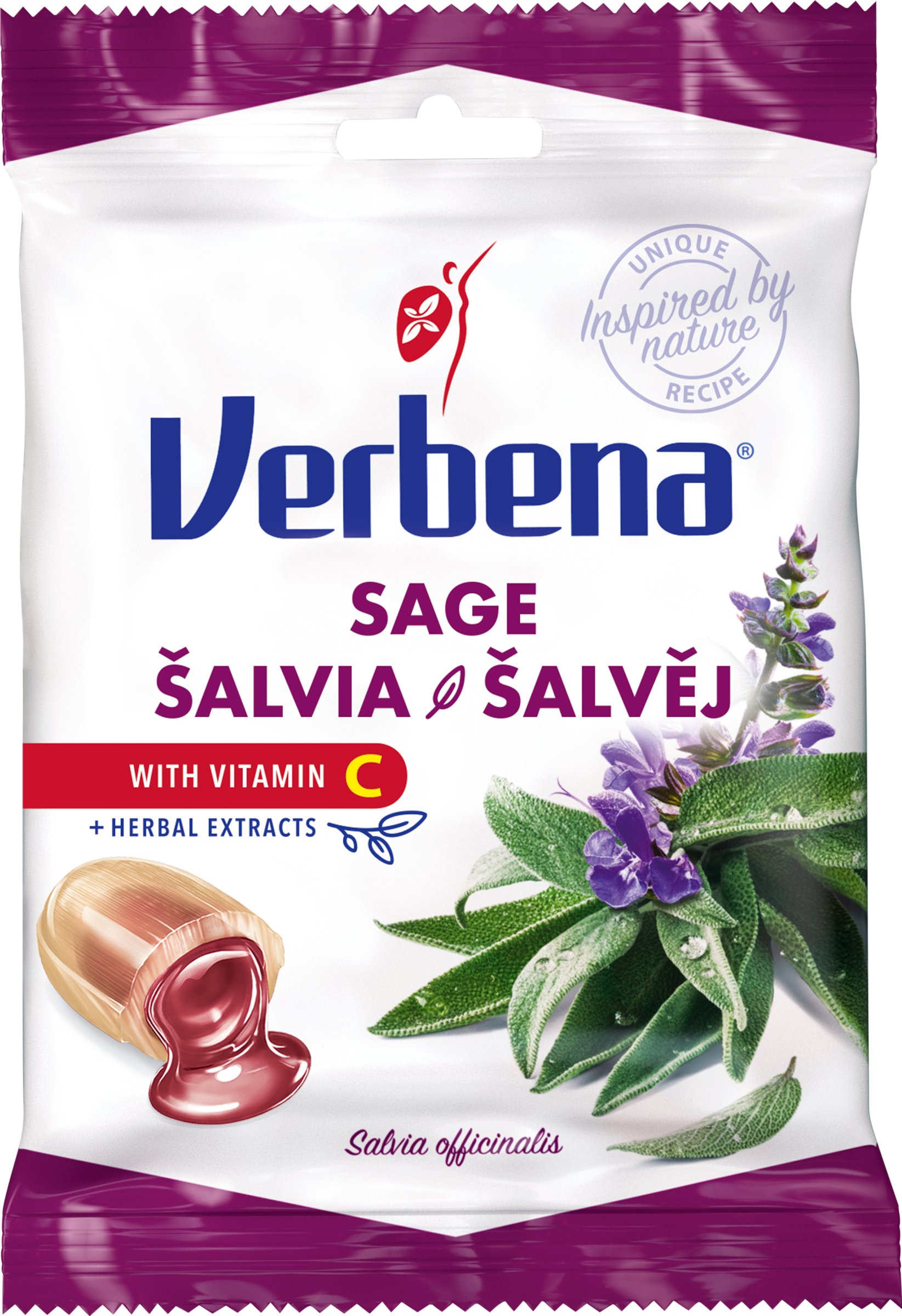 Verbena šalvia (obrázok 4)
