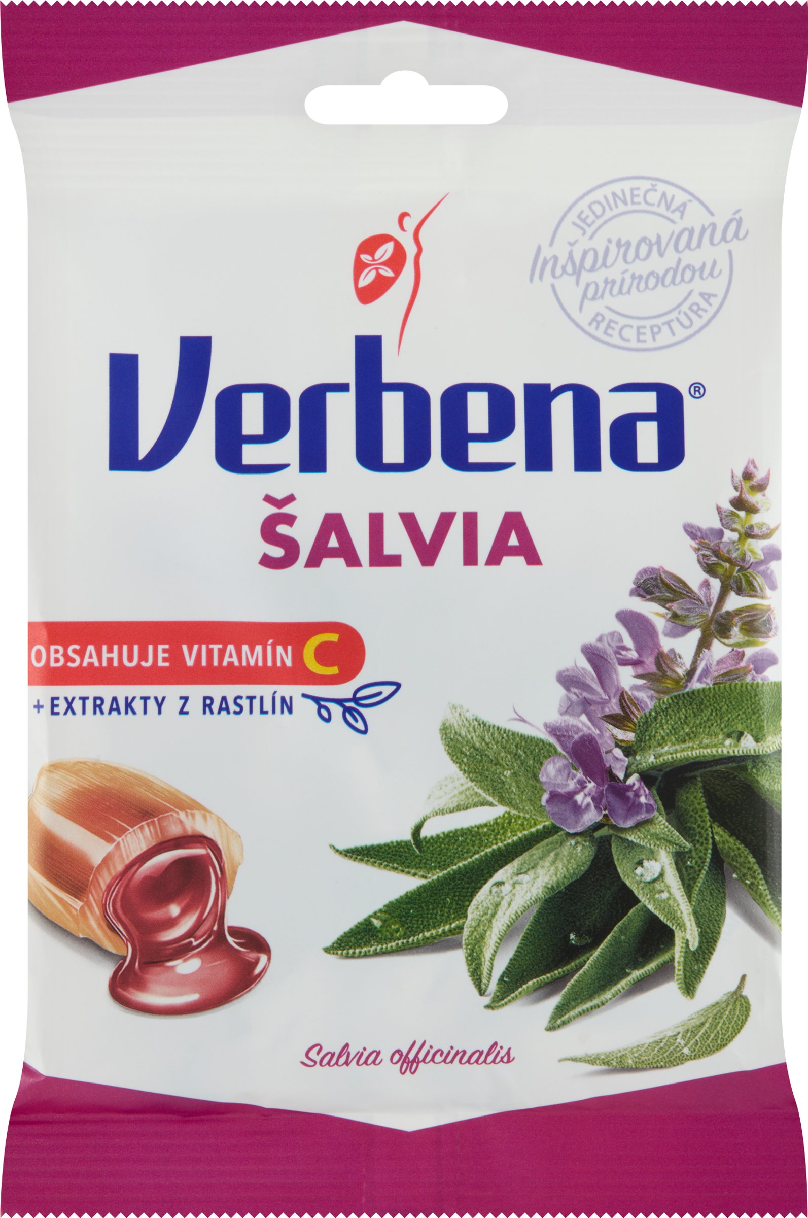 Verbena šalvia (obrázok 3)