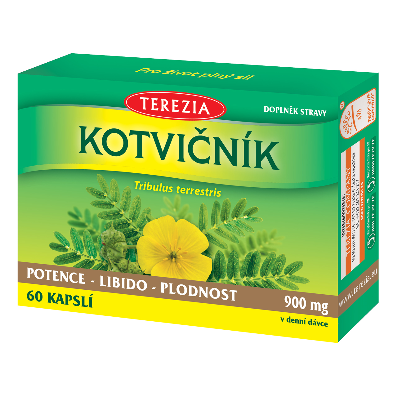 Terezia Kotvičník