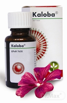 Kaloba Kaloba kvapky pri kašli a prechladnutí – 50 ml