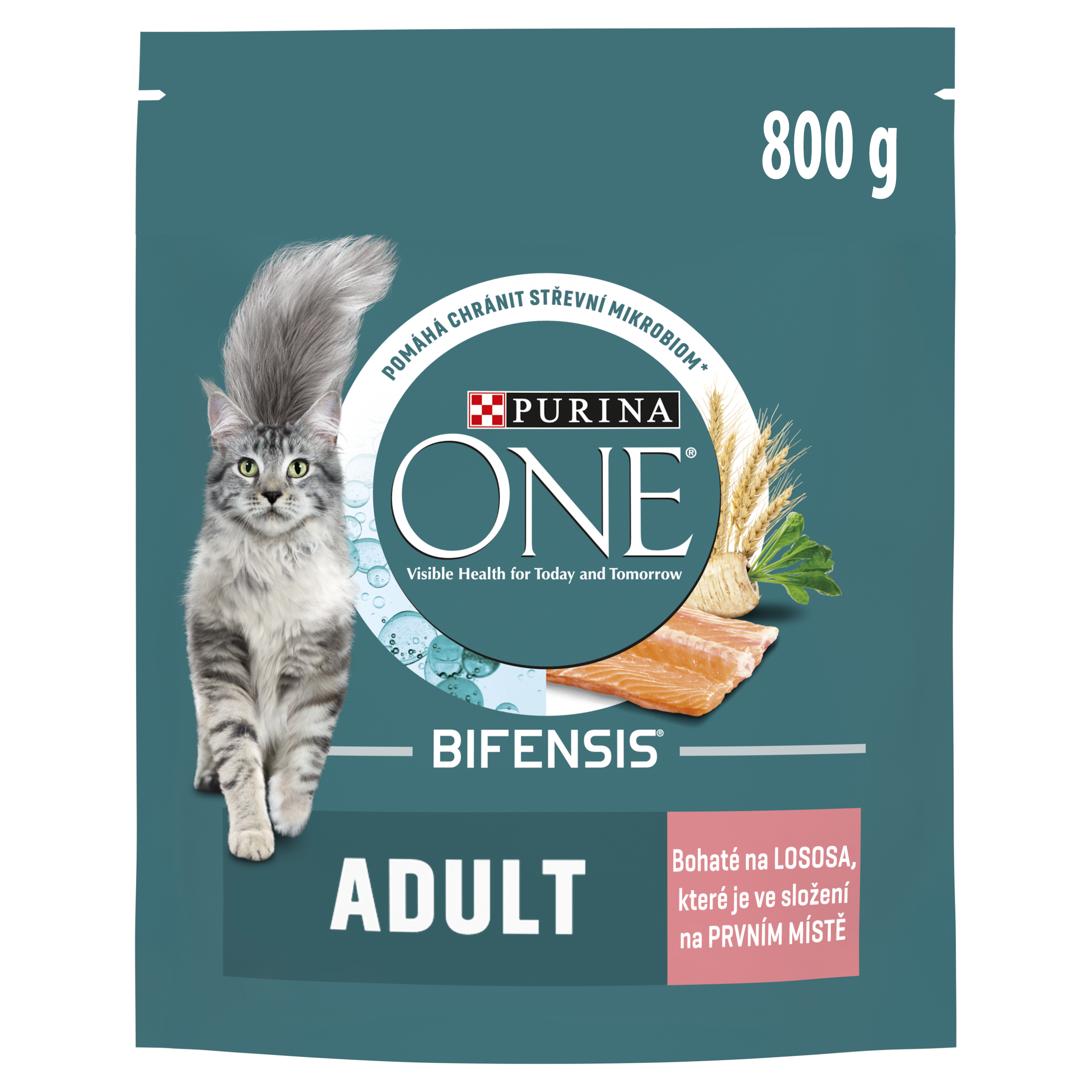 Purina One 800g Adult s lososom a celozrnnými obilninami